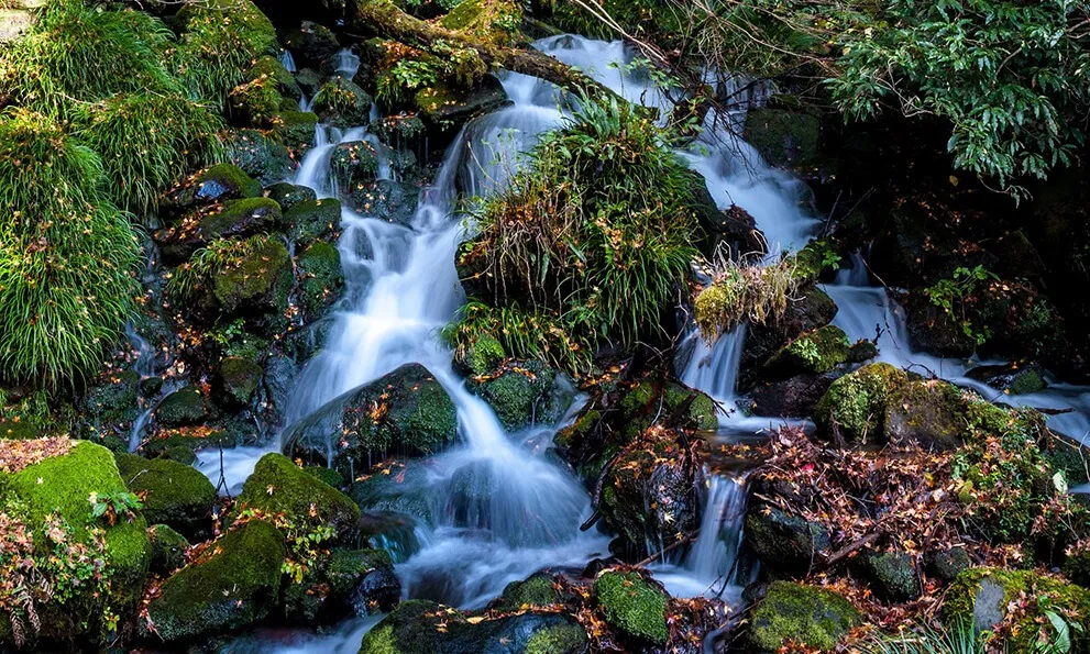 珪素（シリカ） 骨を強く、しなやかに ミネラルバランスの良い海洋深層水にも含まれる珪素を配合。コラーゲンの生成を促進し、骨・肌・髪・爪などを強くしなやかにしてくれます。免疫力、体の柔軟性のアップが期待できます。